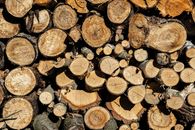 wood