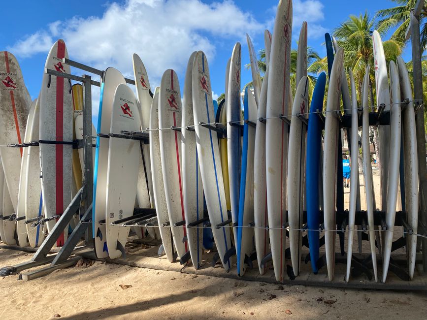 Surfboards lined up on a sunny Hawaiian beach under a clear blue sky.