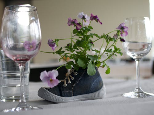 Free stock photo of boot planter, disney, flower Stock Photo