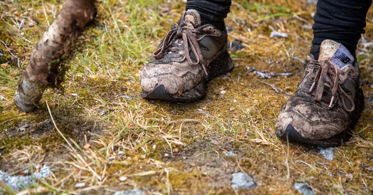 Close-up of worn hiking sneakers on a muddy trail in Southland, New Zealand.