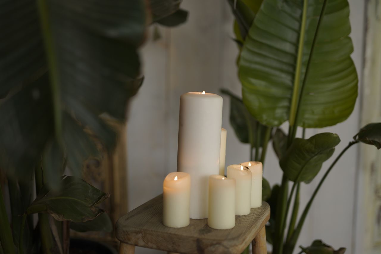 Lit white candles of different heights on a small wooden stool among large green houseplants