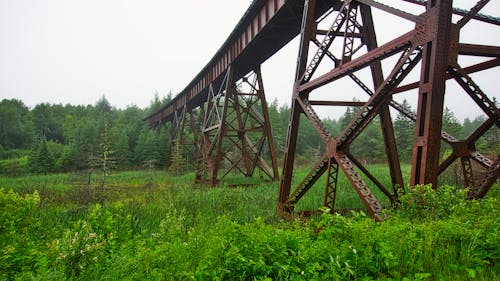 Rusted Viaduct Over Clearing