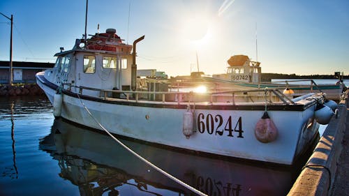 Бесплатное стоковое фото с водный транспорт, порт, причал