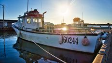 White and Red Boat on Dock