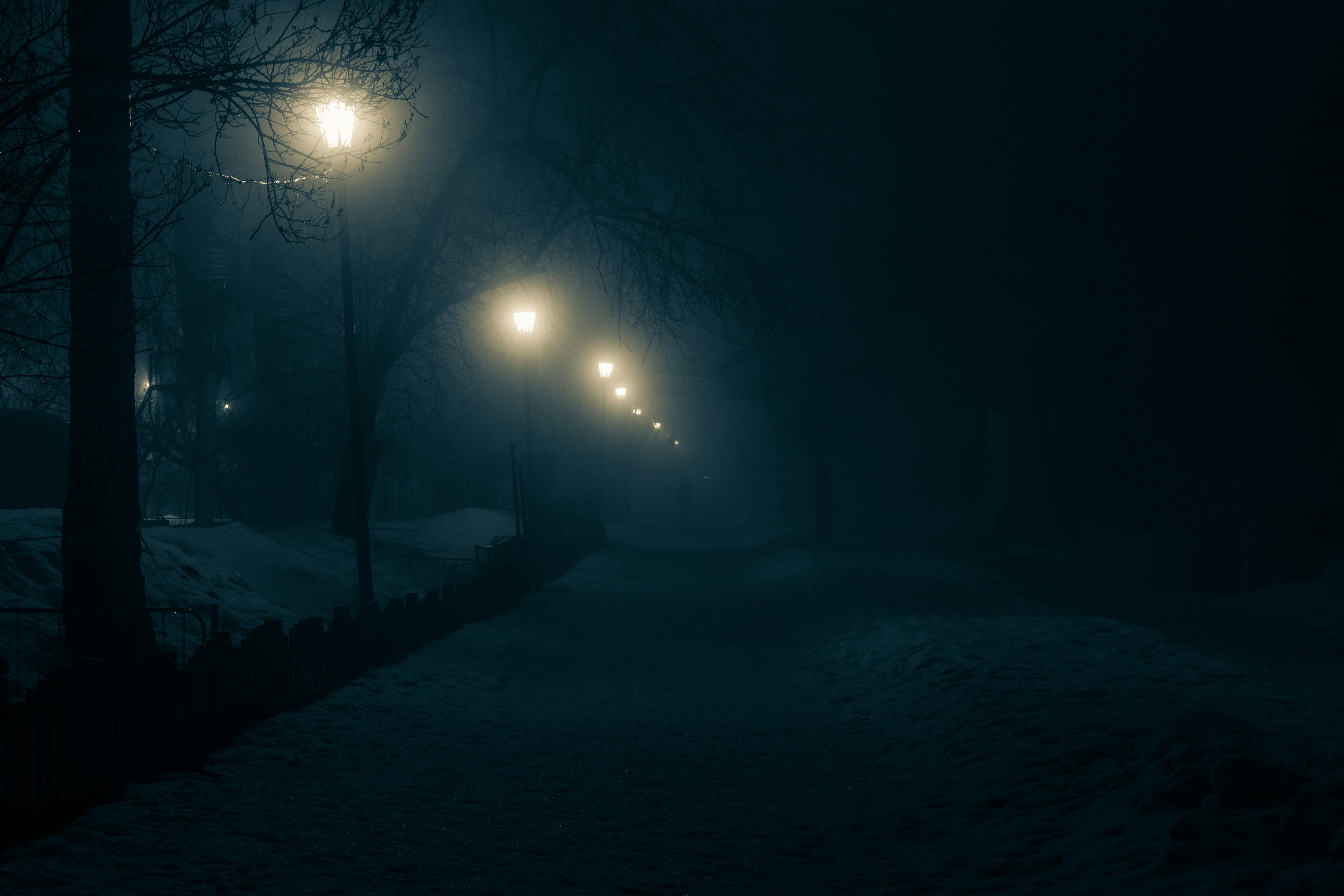 Lamp Post during the Night · Free Stock Photo