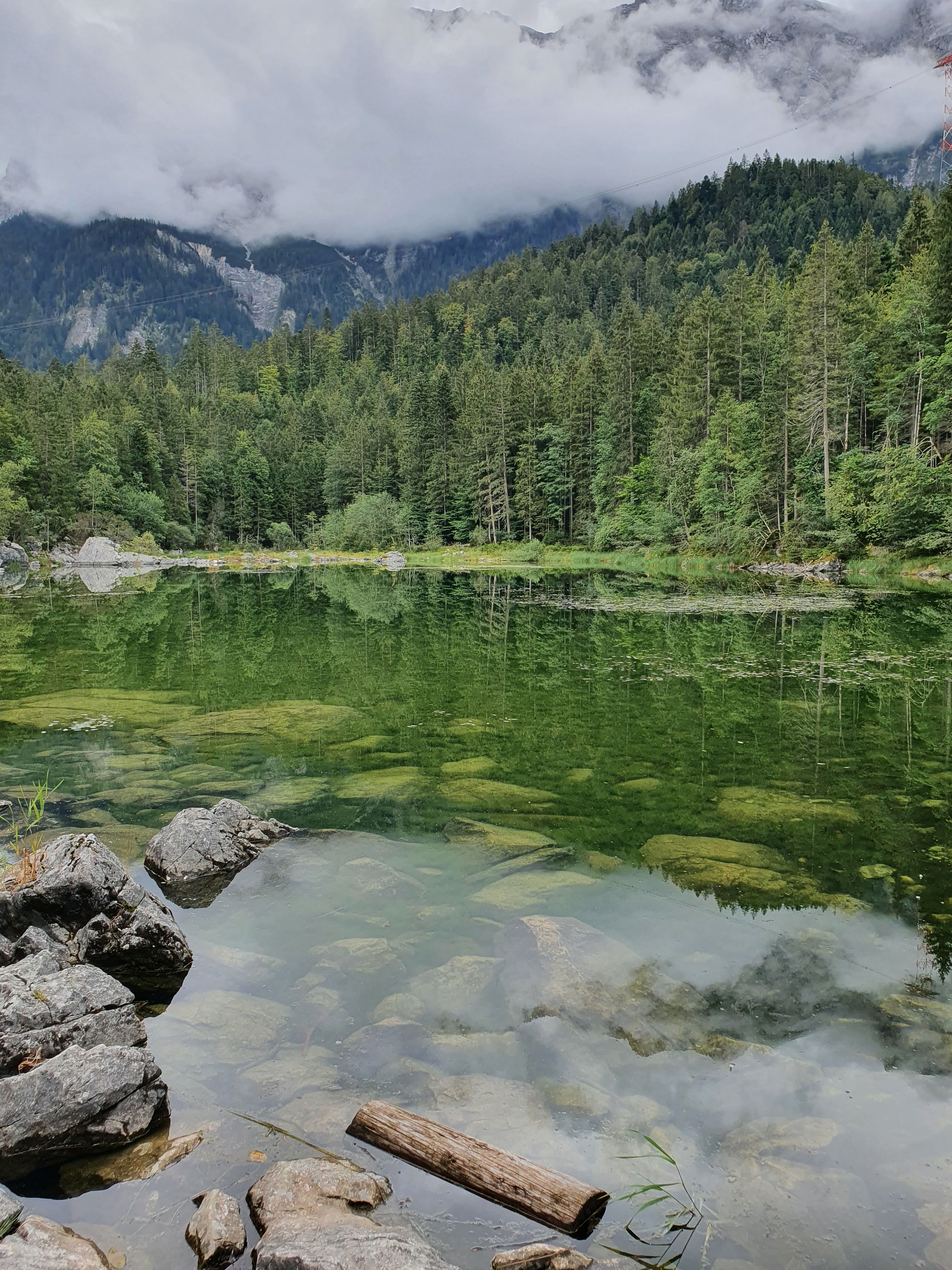 Scenic View of Lake in Forest · Free Stock Photo