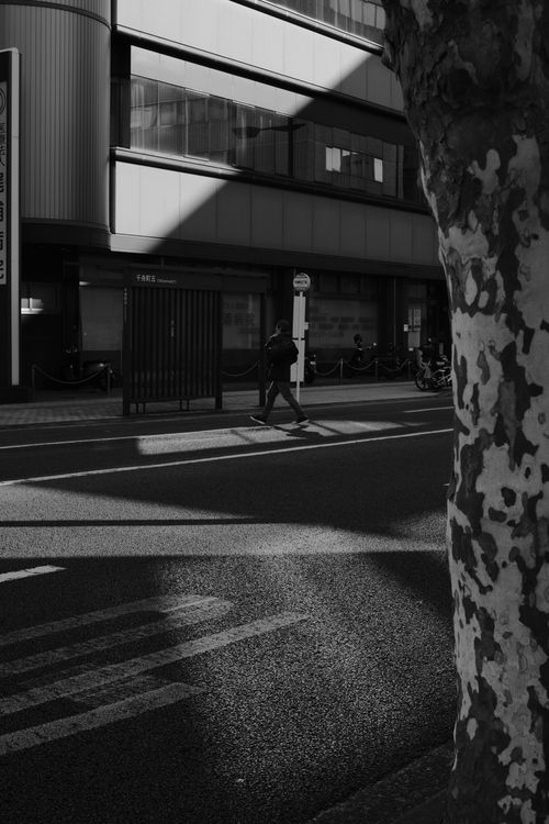 Free Monochrome urban street capture showcasing dynamic shadows and modern architecture. Stock Photo