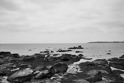 Photos gratuites de bord de mer, cailloux, eau