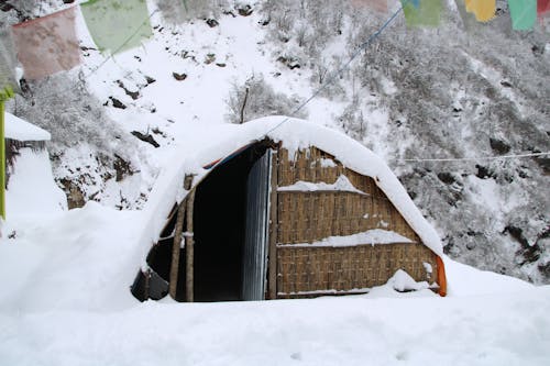 Základová fotografie zdarma na téma annapurnabasecamptrek, dobrodružství, himaláj