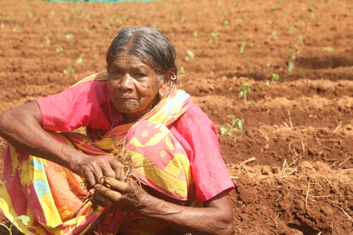 Бесплатное стоковое фото с держать, женщина, плантация