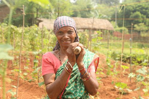 Free Elderly woman farmer smiling in a vibrant countryside garden with green crops. Stock Photo