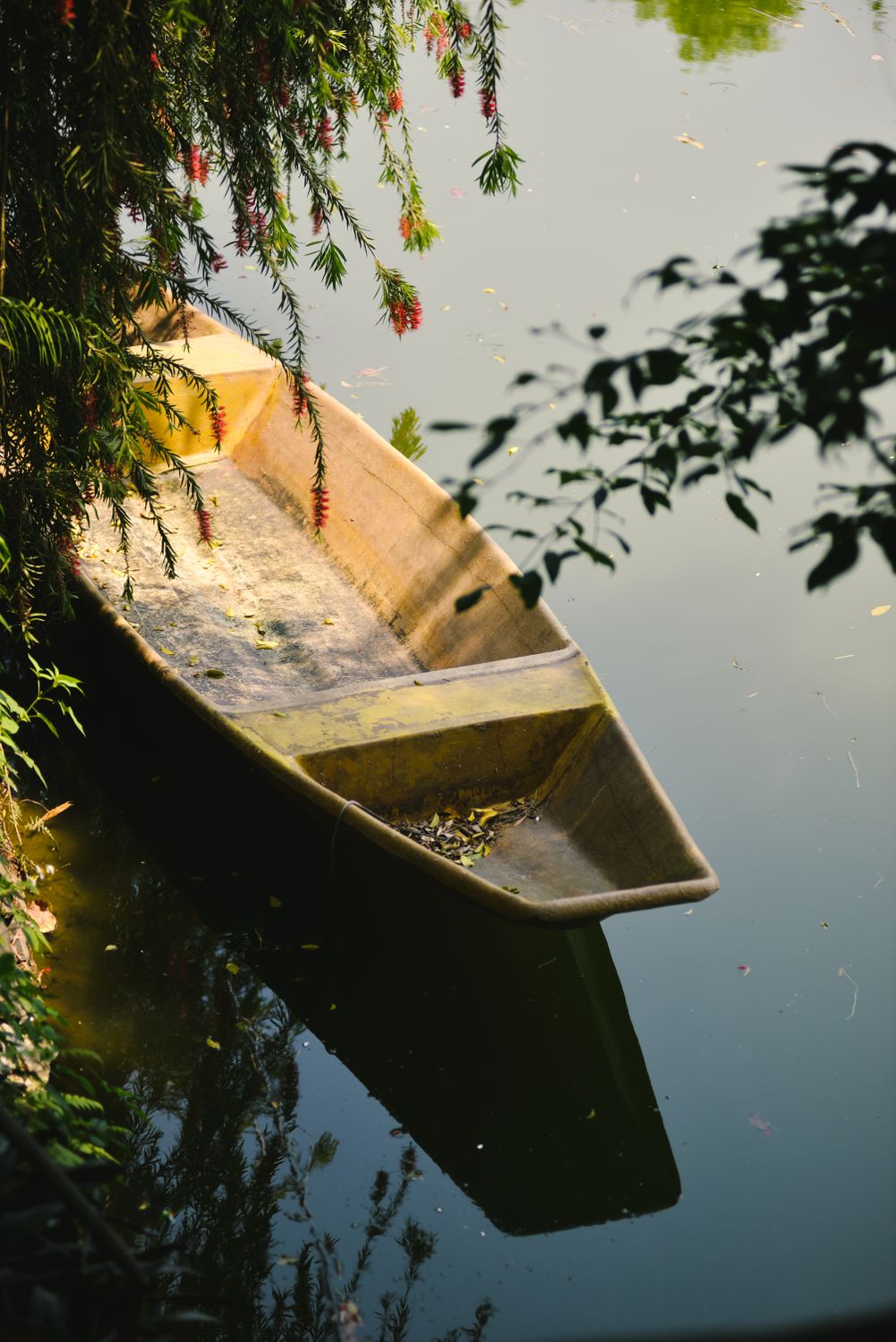 Wooden Canoe Boat on Body of Water · Free Stock Photo