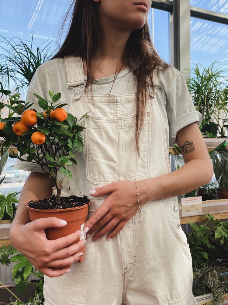 Woman In White Jumper Carrying A Potted Plant