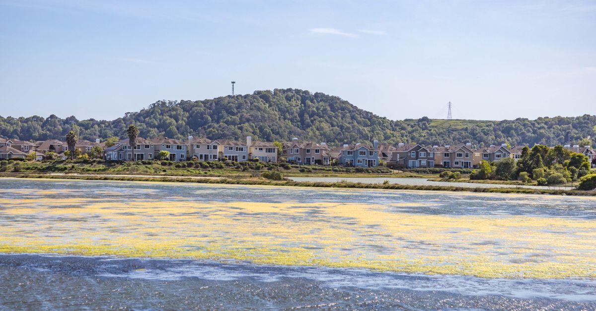 Charming houses by a serene river with a lush mountain backdrop.