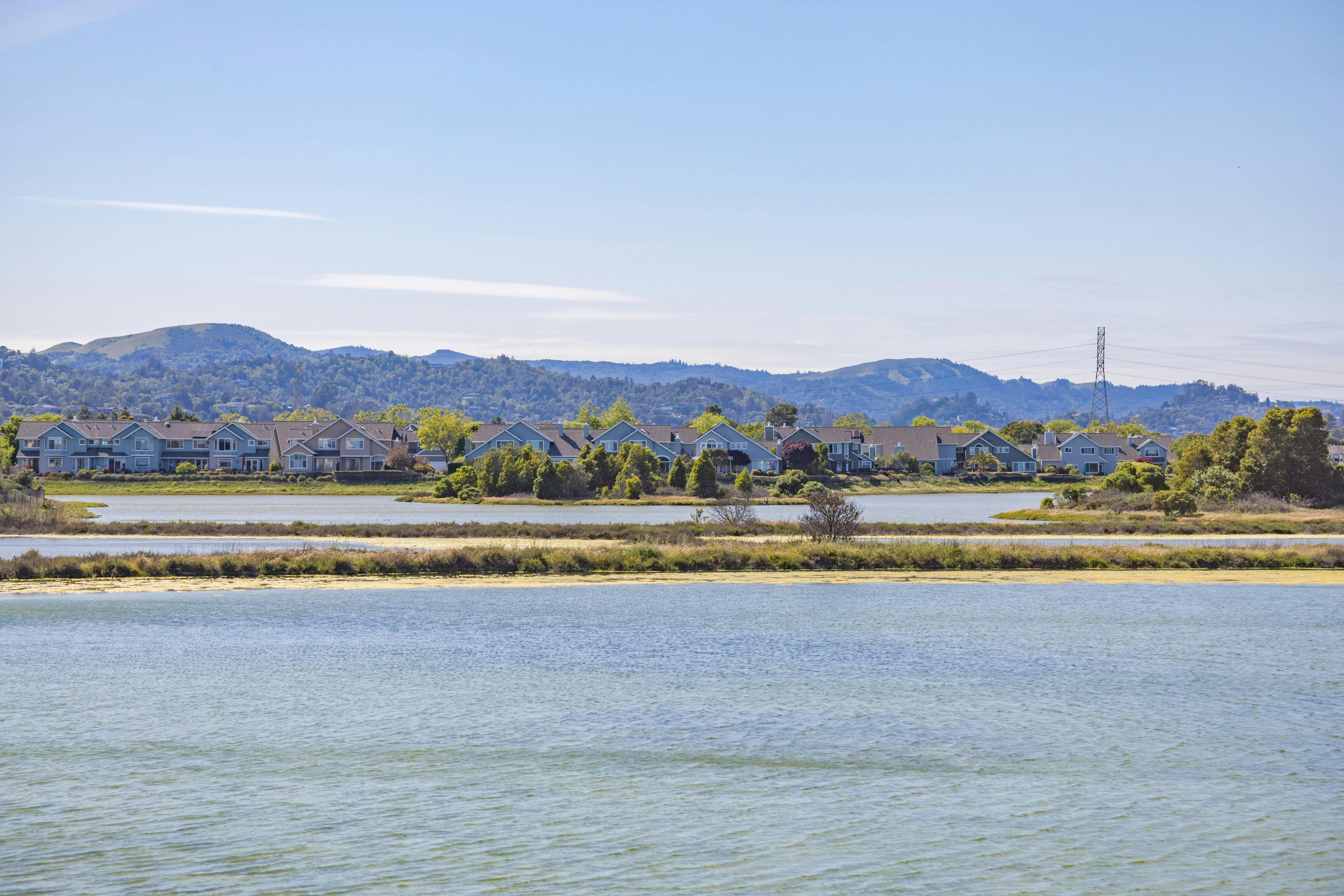 The best real estate brokers in the Bay Area — Photo by Robert So on Pexels