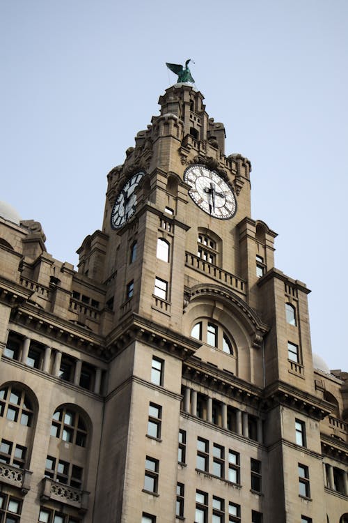 The Clocks of the Royal Liver Building in Liverpool, England