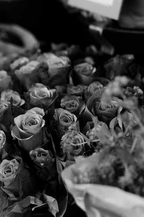 Greyscale Photo of a Roses in Bloom