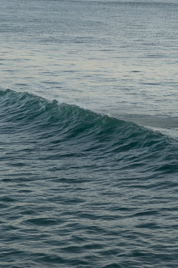 Full Shot Of Waves Forming On Sea