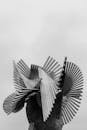 Modern Art Sculpture in Grayscale Photography