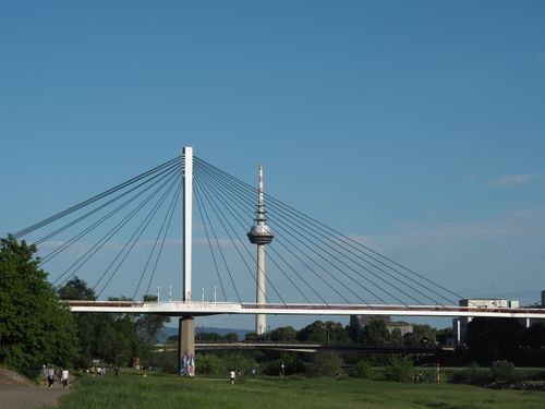 Free View of the cable-stayed bridge and iconic communication tower under a blue sky in Mannheim, Germany. Stock Photo