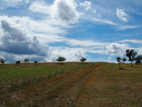 Photos gratuites de campagne, champ d'herbe, ciel bleu