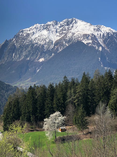 Bezpłatne Darmowe zdjęcie z galerii z alpejski, błękitne niebo, drzewa Zdjęcie z galerii