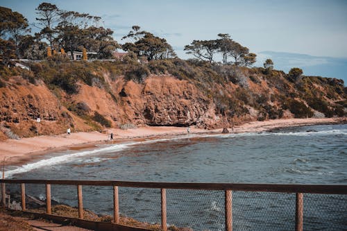 Kostenloses Stock Foto zu australien, bäume, bucht