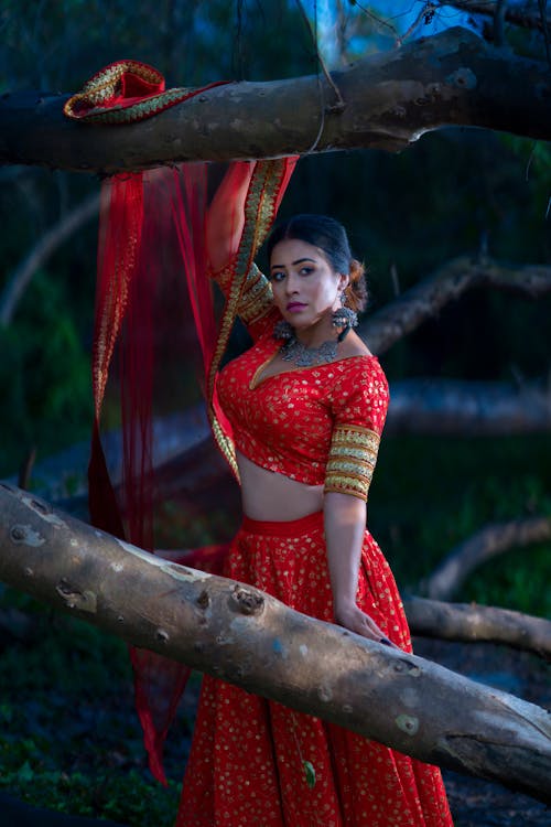 免费 中空裝, 傳統, 印度女人 的 免费素材图片 素材图片
