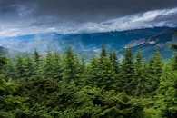 山区景观中，郁郁葱葱的常绿森林与戏剧性的暴风雨天空构成壮丽景色