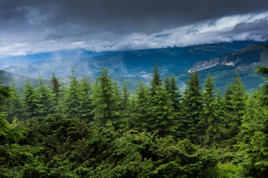 山区景观中，郁郁葱葱的常绿森林与戏剧性的暴风雨天空构成壮丽景色