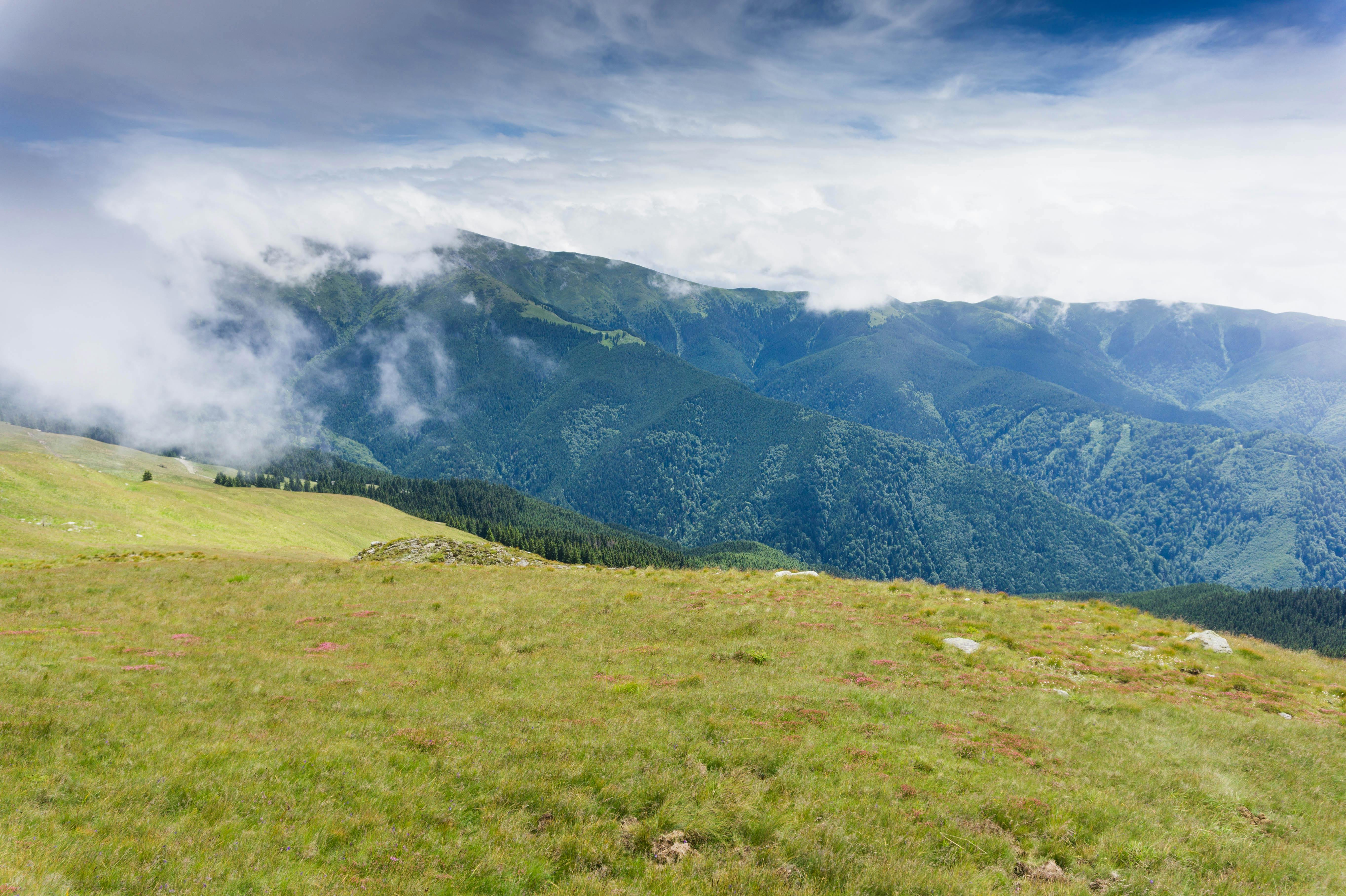 在多云的天空下，雾蒙蒙的山脉和郁郁葱葱的草原构成了一幅壮丽的景色