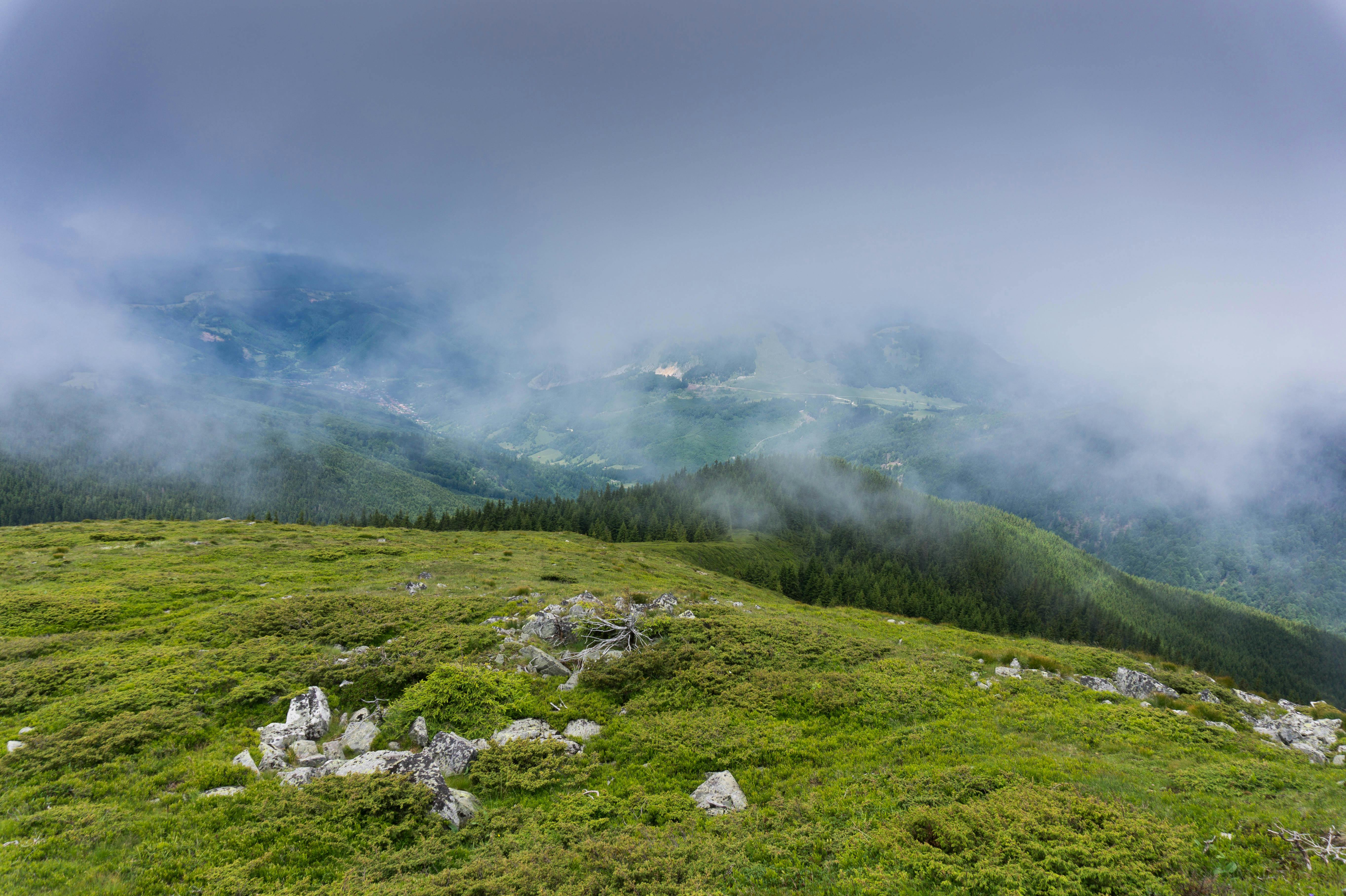 Foggy Mountain · Free Stock Photo