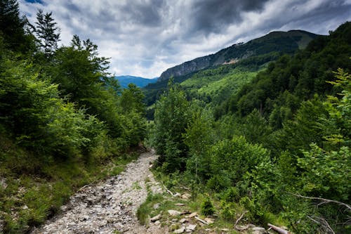 Gratis arkivbilde med alpin, ås, dal