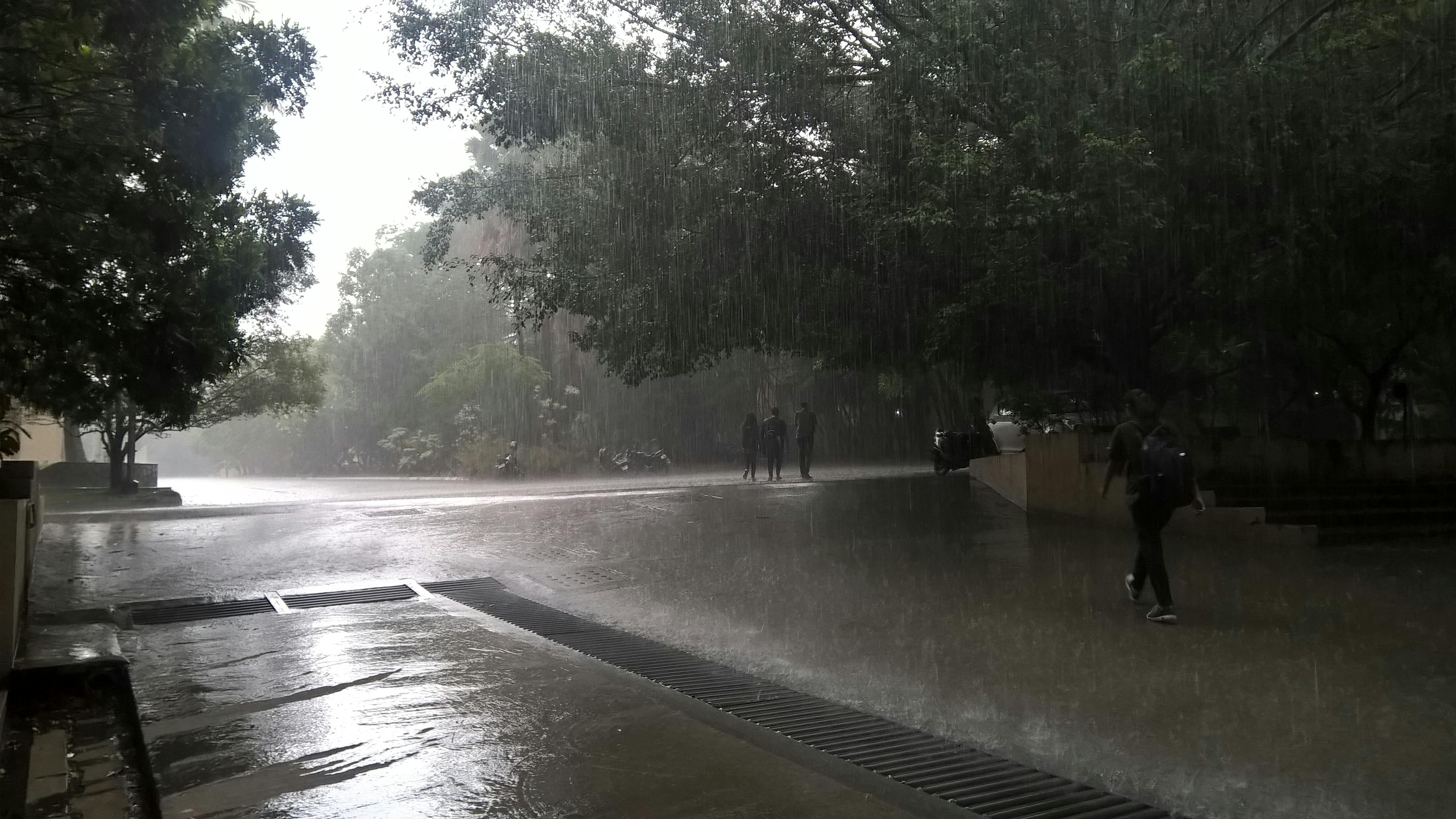 Free Stock Photo Of After The Rain Beautiful Nature India