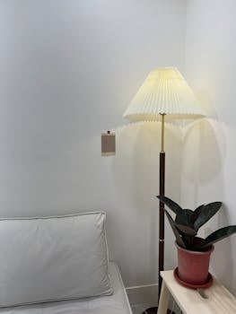 A cozy minimalist interior featuring a lamp, white wall, sofa, and potted plant.