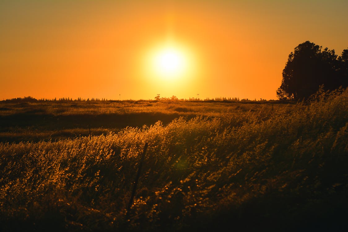 Free Grass Field During Sunset Stock Photo california road trip destinations