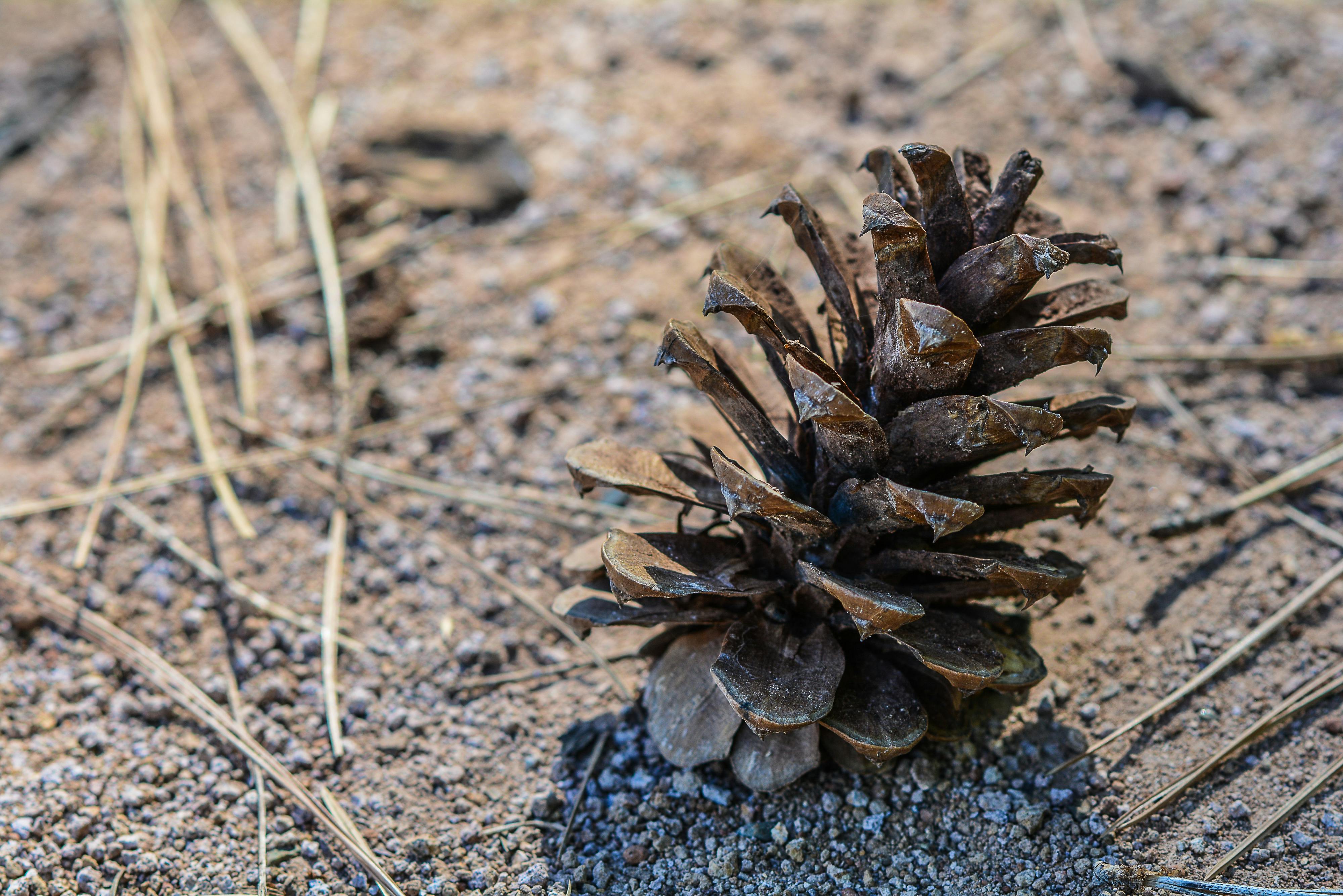 升中升學一想到就心慌？先別急著揀學校，先看孩子真正適合甚麼