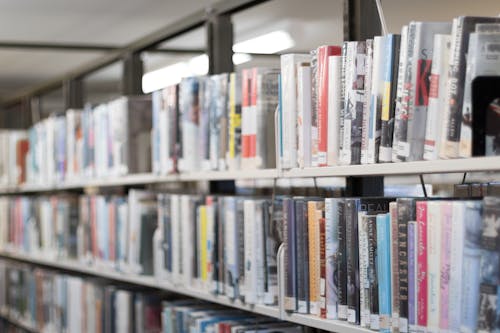 Flacher Fokus Fotografie Von Büchern Auf Bücherregalen