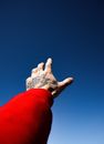 Person in Red Long Sleeve Shirt Raising Right Hand