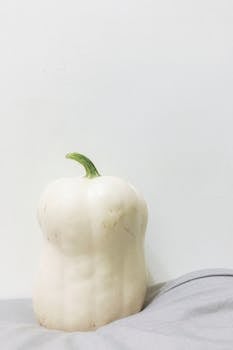 白色南瓜的特写，背景采用简约的灰色和白色，以突出其简约的有机形态