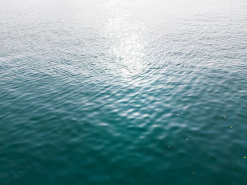 無料 シースケープ, 水域, 波紋の無料の写真素材 写真素材
