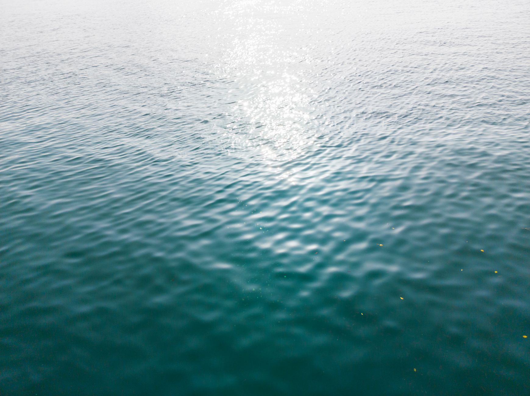 Peaceful ocean surface with gentle ripples and sunlight reflecting on the water.