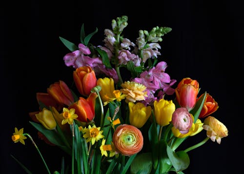 De franc Foto d'estoc gratuïta de arranjament floral, Assortiment, bonic Foto d'estoc