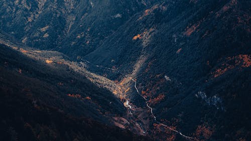 Scenic View of the the Road in the Mountains