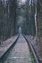 Train Rail in the Middle of Trees