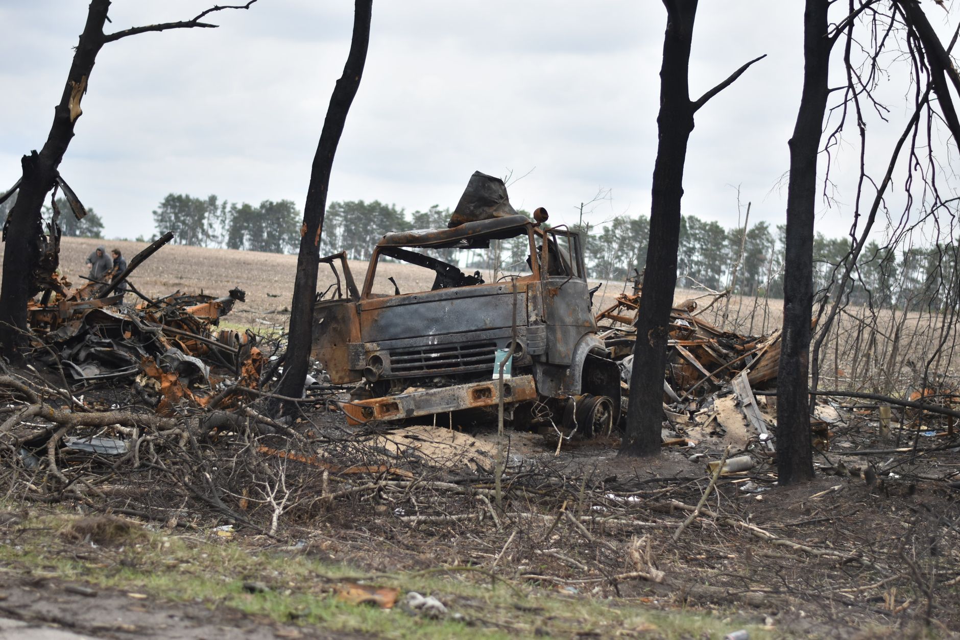 Charred remains of a truck in a war-torn forest area with burnt trees.