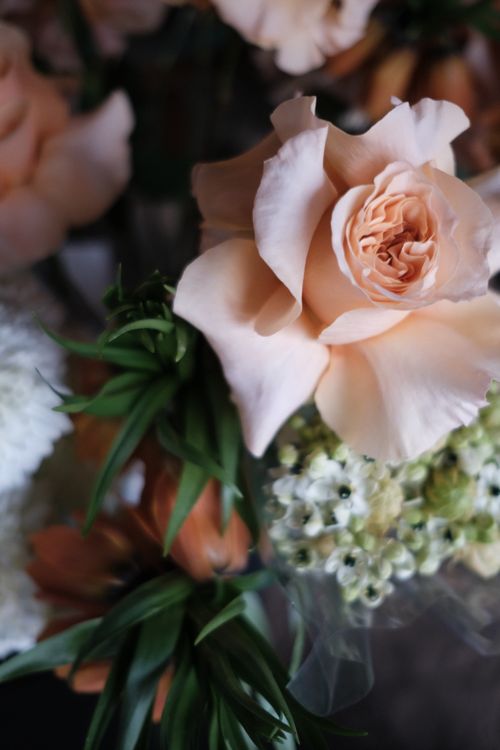 Free Close-up of a peach rose in a lush bouquet showcasing vibrant petals and greenery. Stock Photo