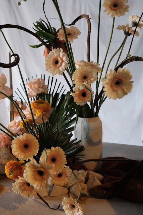 grátis Foto profissional grátis de arranjo de flores, brotos, delicado Foto profissional