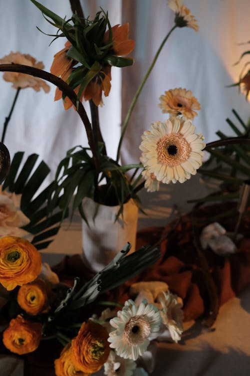 White and Yellow Flowers in Close-Up Photography