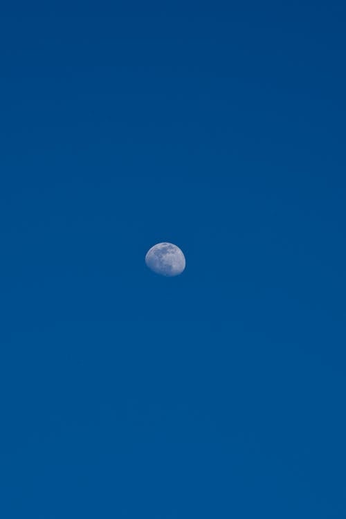 Gratis lagerfoto af astronomi, lodret skud, måne